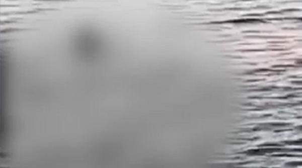 Egipt. Mărturiile turiștilor români, după ce două femei, printre care și o conațională, au fost ucise de rechini: „Ne-am cutremurat”