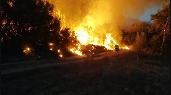 MAE, atenţionare de călătorie pentru românii care merg în vacanță în Grecia - incendii de vegetaţie