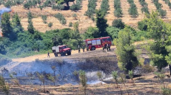 Pompierii români intervin pentru stingerea unor incendii de pădure în Schimatari, Grecia