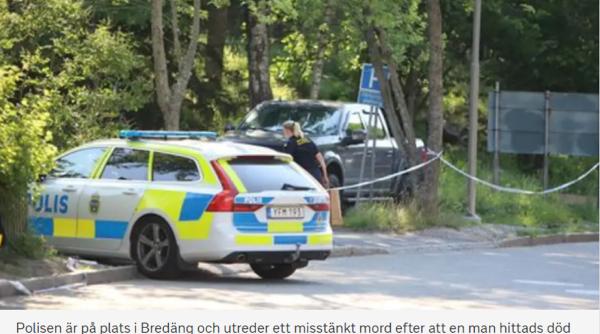 Suedia: O femeie a fost înjunghiată mortal la un eveniment politic