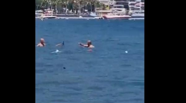Țipar confundat cu un rechin, alungat cu mopul. Peștelea creat panică pe o plajă cu Turcia - VIDEO