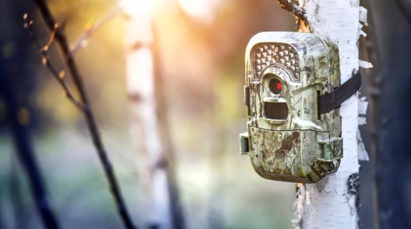Cum alegi cea mai bună cameră de vânătoare? Știi ce trebuie să urmarești?