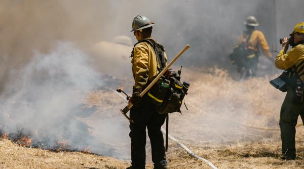 Valul de căldură declanșează incendii de vegetație în toată Europa