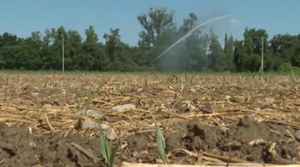 Italia. Apa irosită compromite lupta împotriva celei mai grave secete din ultimele decenii