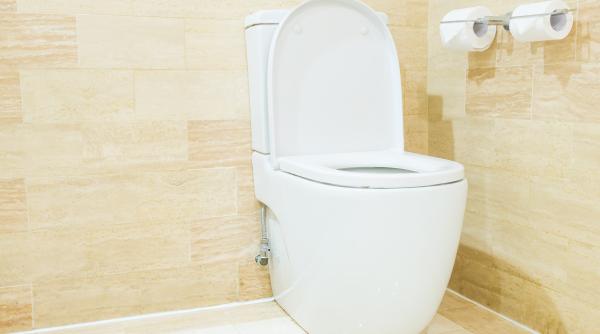 Curăță un cățel de usturoi și aruncă-l în toaletă înainte de a merge la culcare. Trucul de care nu te poți lipsi