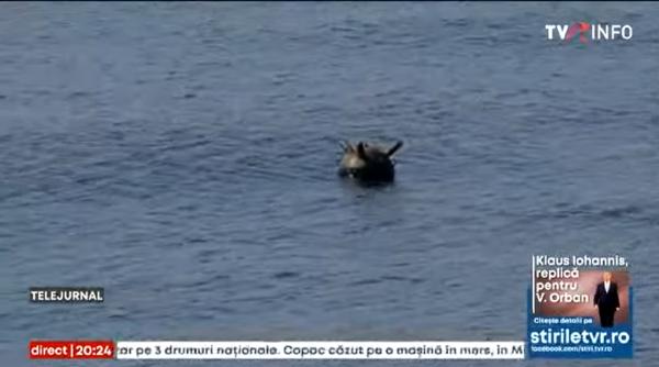 MApN: Mina marină din raionul maritim Eforie a fost distrusă