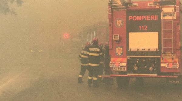 Incendiile de vegetaţie continuă să se manifeste în Germania pe fundalul temerilor legate de un nol val de caniculă