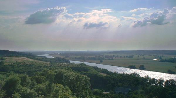 Alertă în Germania: Numeroşi peşti descoperiţi morţi în râul Oder