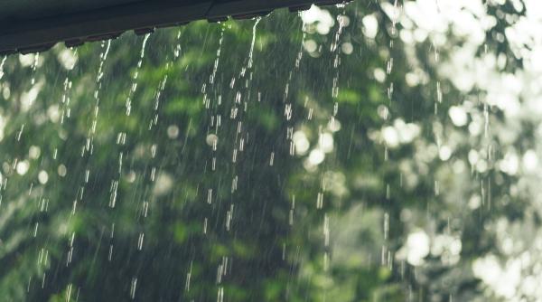 Furtuni puternice în Italia: Copaci smulşi din rădăcină şi drumuri inundate