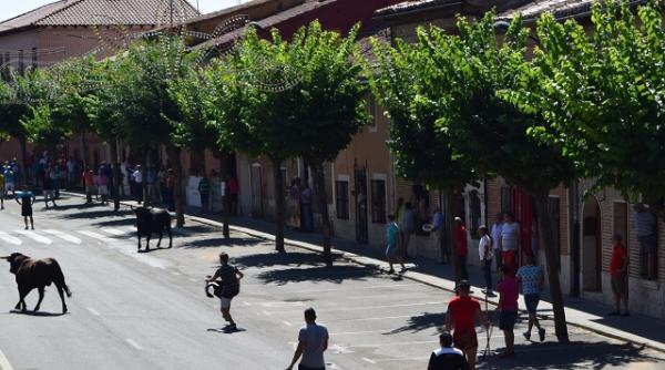 Spania. Român, rănit la cap în timpul unei curse de tauri 