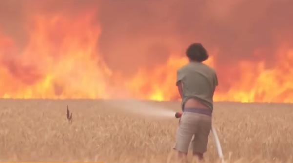 Stare de alertă în Portugalia, din cauza incendiilor de vegetație. A fost restricționat accesul în păduri