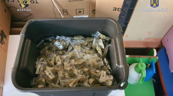 Două kilograme de heroină, găsite îngropate la rădăcina unui copac. Patru persoane, reţinute