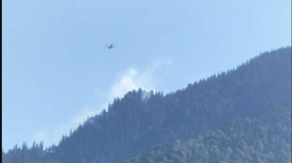 Incendiu într-o pădure din Munţii Maramureşului: Ministerul Apărării a trimis un avion