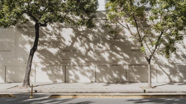 Stradă din centrul Londrei, închisă de un miliardar care își amenajează grădina: „Este greșit să perturbe viețile a mii de oameni”