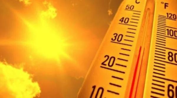 Anglia a avut parte în 2022 de cea mai călduroasă vară din istoria măsurătorilor sale meteorologice