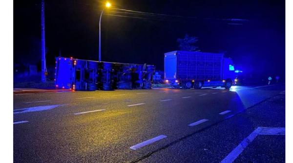 Belgia. Un șofer român de TIR s-a răsturnat cu mastodontul în drum spre abator: Avea în remorcă 6.000 de găini