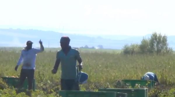 ONU: 50 de milioane de sclavi moderni în lume, cu 10 milioane mai mult decât acum șase ani. Marea majoritate, în ţările bogate