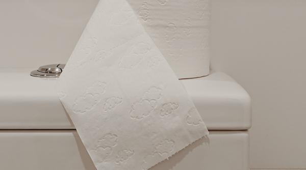 Pune un sul de hârtie igienică înmuiat în oțet în vasul de toaletă. Gestul simplu și ieftin care te scapă de bătăi de cap și de instalator