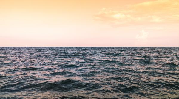 Potențialul de gaze din Marea Neagră este uriaș, dar este nevoie de reglementări pentru a accelera dezvoltarea