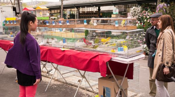 Piaţa de păsări din Paris, închisă definitiv la sfârşitul lunii decembrie