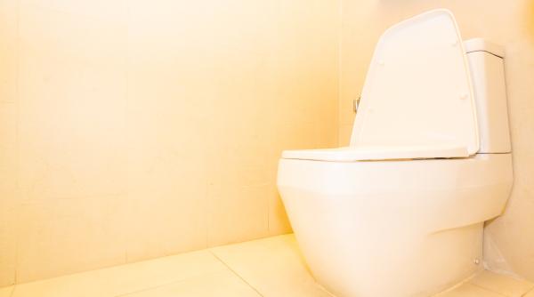 Va trebui să turnați acest amestec în toaletă o dată pe săptămână. Un truc care îți va ușura viața