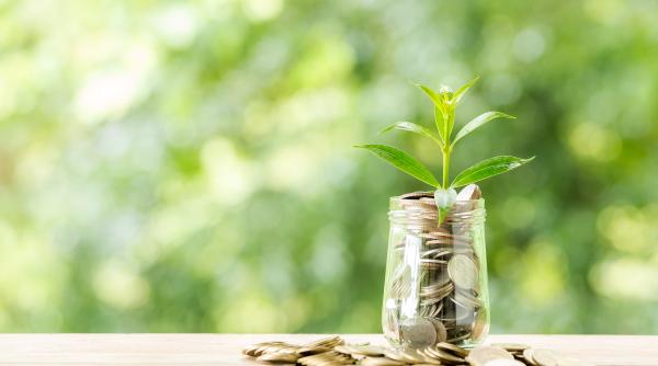 Kakebo, trucul japonez de a-ți îmbunătăți finanțele. O metodă străveche care te va ajuta să economisești bani