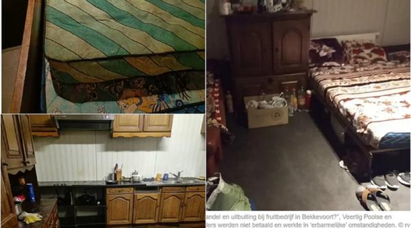 Nou caz de exploatare în Belgia. Zeci de muncitori români, ținuți în condiții „atroce” și flămânzi: „Cele mai rele pe care le-am trăit vreodată”