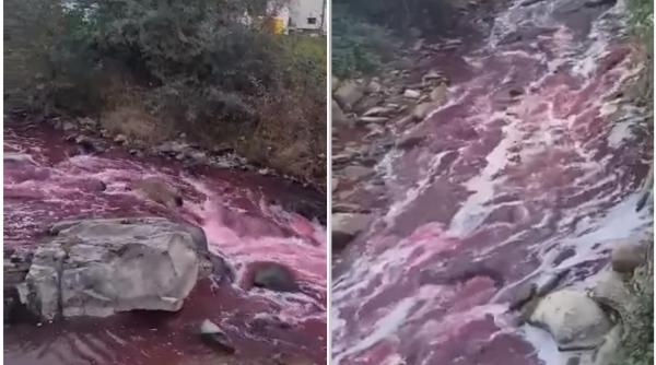 Fenomen ciudat în Bistrița-Năsăud: Apa unui râu s-a înroșit inexplicabil - VIDEO