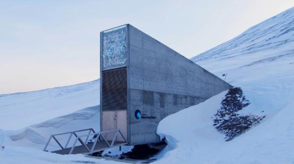 Seiful Apocalipsei s-a îmbogățit cu noi eșantioane. România păstrează în el peste 250 de „comori” 