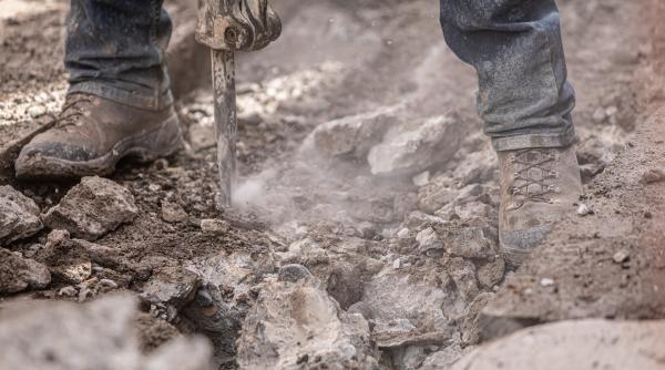 Marian Godină: "Avem cei mai mulți salahori care lucrează prin Europa pe salarii mizere"