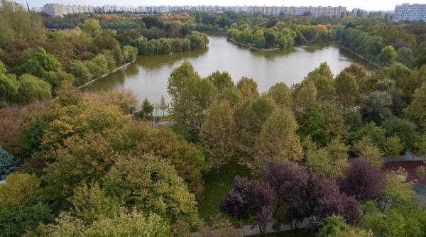 12 hectare din parcul IOR au fost retrocedate unor privați. Instanța a decis