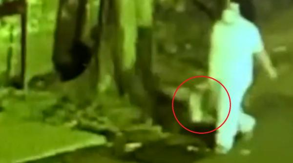 Spania. Un român, logodnicul femeii care a răpit un bebeluș din maternitate: "Avea grijă de fiica iubitului ei. Pretindea că este însărcinată"