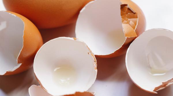 Nu este magie! Super trucuri cu cojile de ou care valorează aur. Dați o viață nouă acestor deșeuri. Aici sunt secretele!