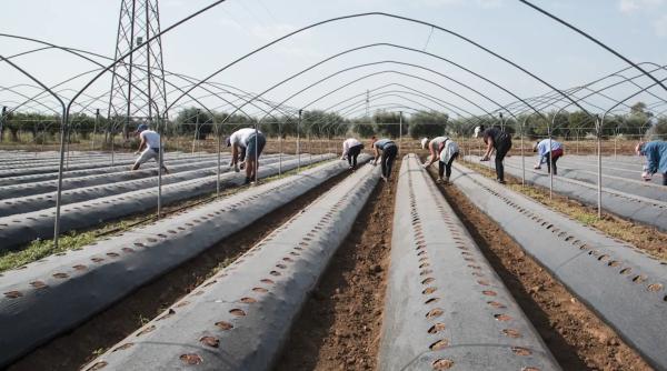 Rețeaua EURES: Peste 240 de locuri de muncă pentru români în străinătate. Cele mai multe sunt în Belgia, Norvegia și Finlanda