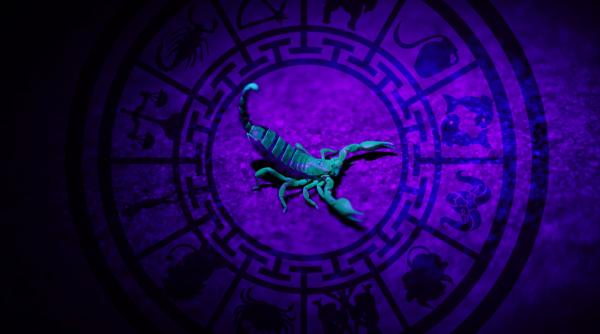 Horoscop 2 noiembrie 2022. Sezonul Scorpionilor aduce multe vești pentru zodii - Previziuni complete