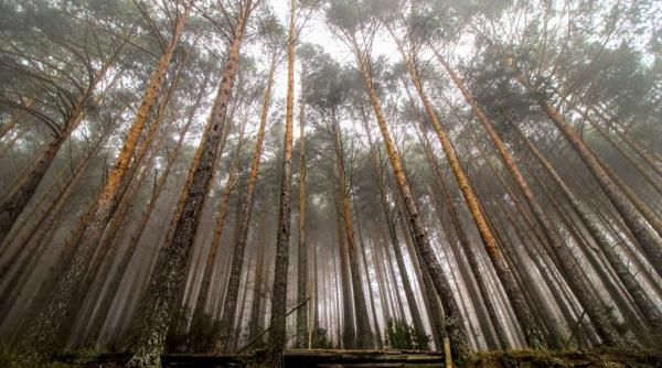Ce poți face gratuit la Madrid în perioada 6-13 noiembrie: festival de literatură și muzică live