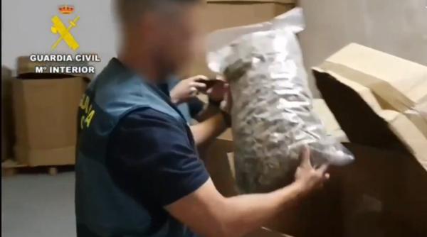 Poliția din Spania anunță că a făcut cea mai mare captură de marijuana din istorie: peste 32 de tone