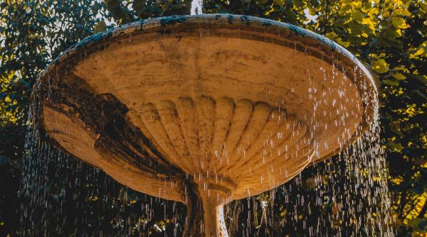 Italia. Un român, a primit o amendă pe măsura gestului său lipsit de respect. Se spăla pe picioare într-o fântână istorică