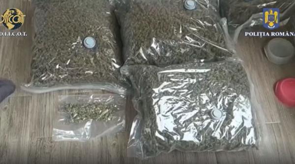 Doi români, reţinuți pentru trafic de droguri. Polițiștii au confiscat 28 kg de canabis și 500 grame de cocaină