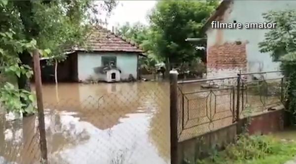 Crişul Alb a inundat aproximativ 330 de hectare de terenuri agricole din Arad, în urma ploilor abundente