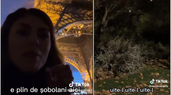 Români, uimiți de mizeria de lângă Turnul Eiffel: "E plin de șobolani aici! Nu e un mit!" - VIDEO