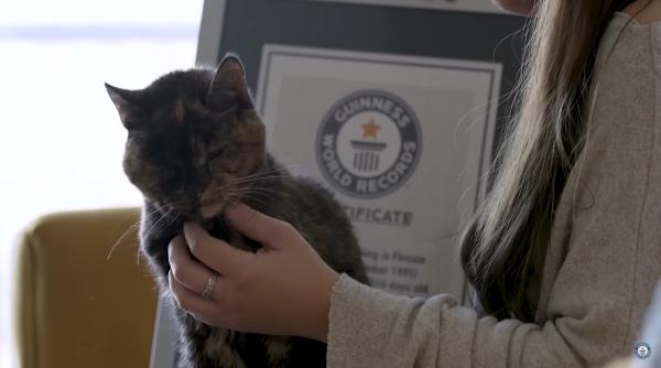 Câți ani are felina care a câștigat recordul mondial Guinness pentru cea mai bătrână pisică de pe planetă