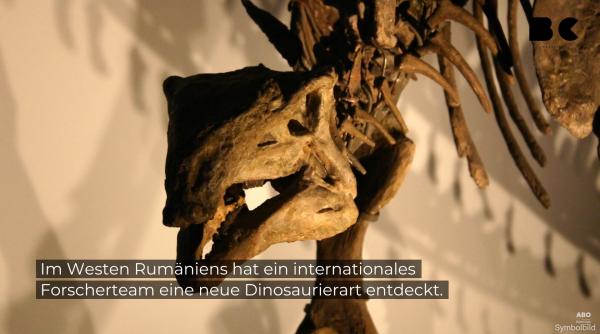 O nouă specie de dinozaur pitic a fost descoperită în Transilvania