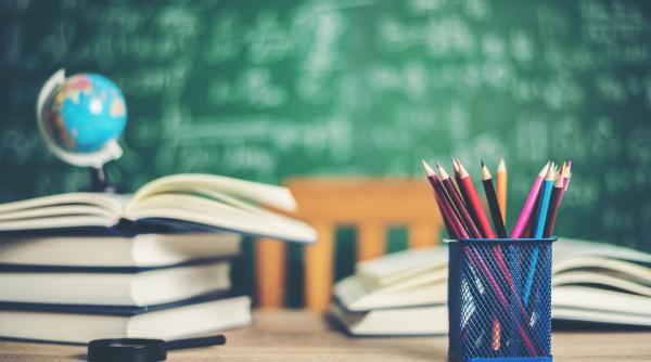 Domeniul educațional, primordial pentru Departamentul pentru Românii de Pretutindeni. Radu Cosma: „Așa ai un român câștigat pe viață!”