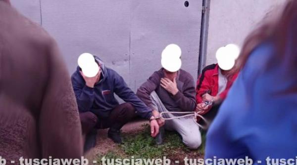 Italia. Cinci muncitori români, arestați după ce ar fi înjunghiat un octogenar în propria-i casă