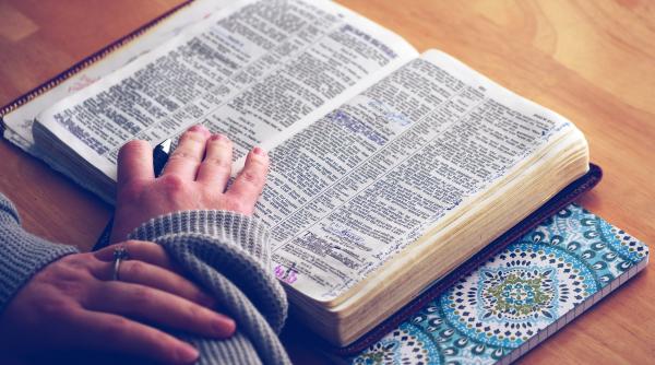 Care este cuvântul anului anunțat de Oxford. Acesta surprinde starea de spirit a anului 2022