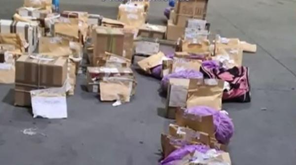 Capturi record ale polițiștilor români: Aproape 4,5 tone de droguri confiscate, distruse într-o zi