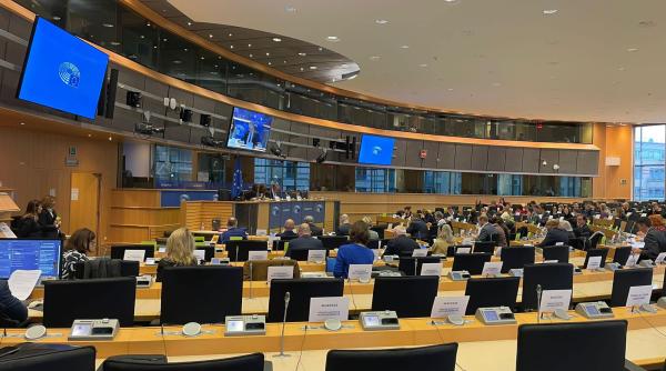 „Românii din diaspora reacționează după ce Austria ne-a refuzat în Schengen”. Rareș Bogdan atrage atenția și asupra pensiilor: „Trebuie să avem foarte mare grijă”