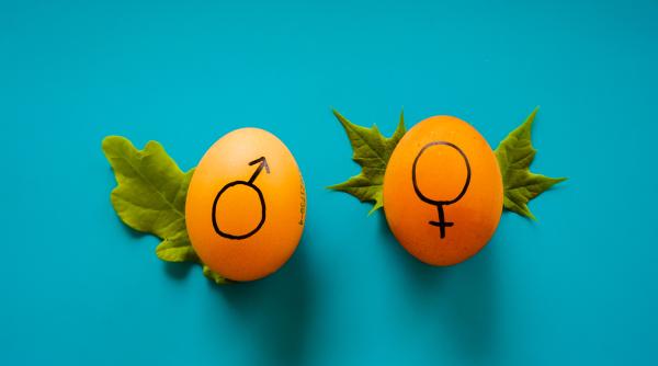 Dicționarul Cambridge a schimbat definiția cuvintelor „bărbat" și „femeie”