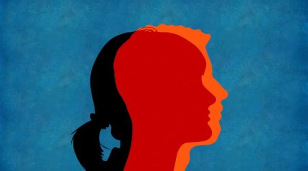 Elveția: Guvernul respinge a treia opțiune de gen 